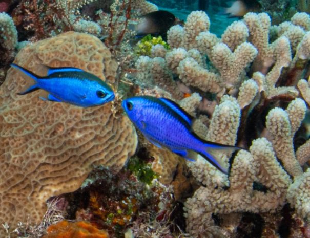 2021_Cozumel day 2--165