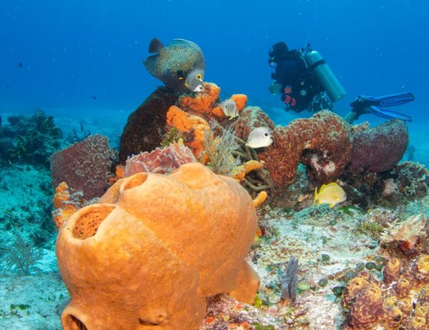 2021_cozumelUW7-21 Day4-8500667